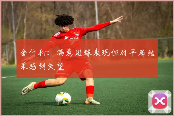 舍什科：满意进球表现但对平局结果感到失望